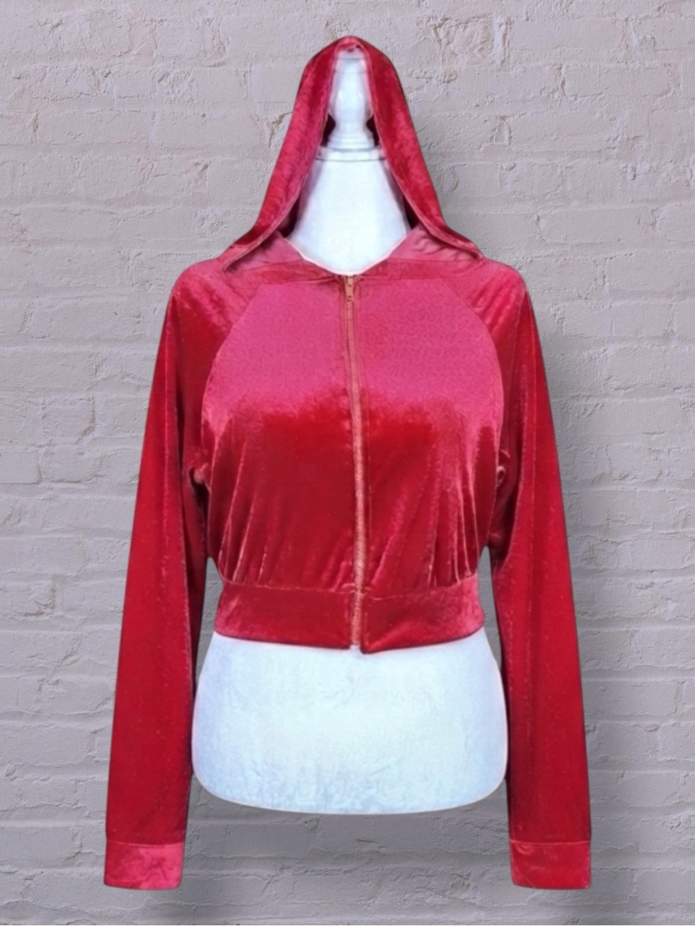 Dolls Kill Velour Sweatshirt Red Velvet Cropped Long Sleeve Hoodie Y2K Retro 1X